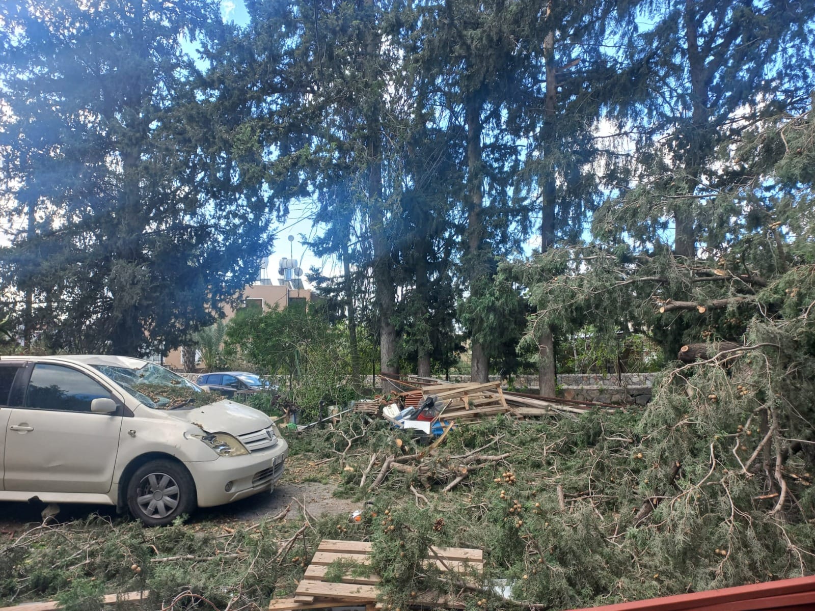 Fırtınanın Etkileri ve Vatandaşların Yaşadığı Zorluklar